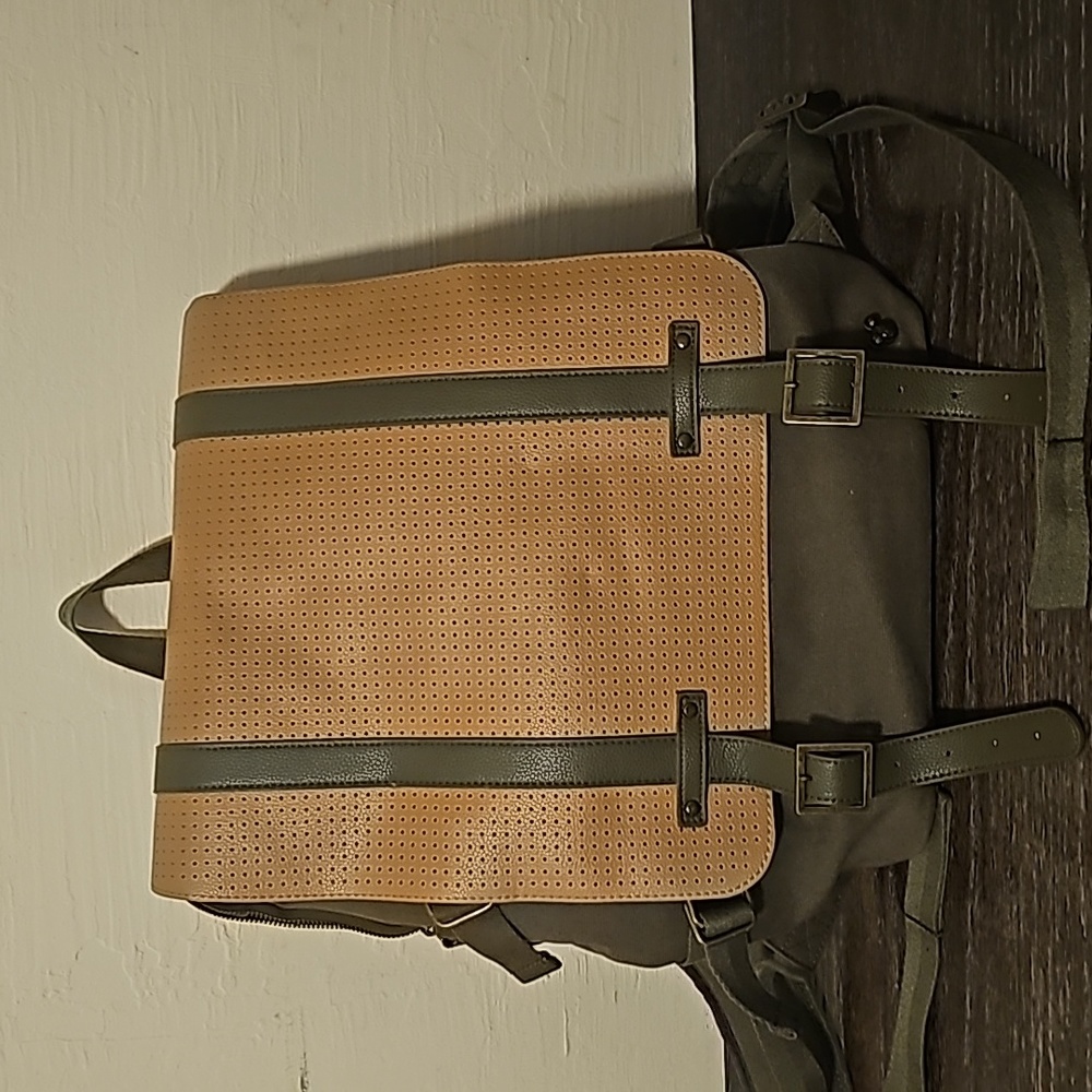 Disneyland Backpack
